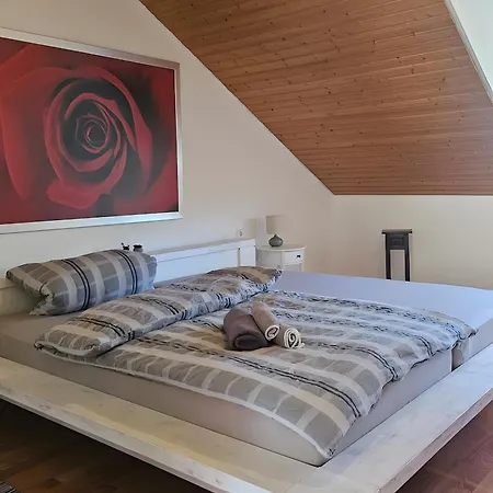Riesling Apartamento Burg (Bernkastel-Wittlich)