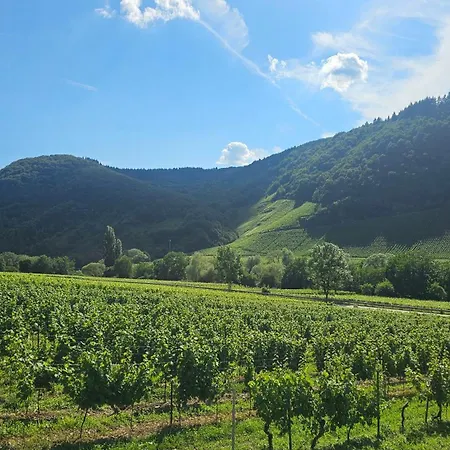 Apartamento Riesling Burg (Bernkastel-Wittlich)